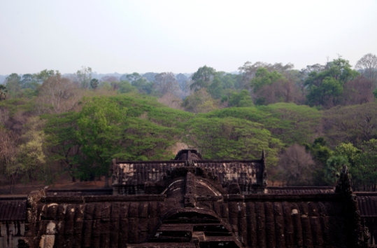 Angkor Wat (5)